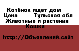 Котёнок ищет дом!! › Цена ­ 25 - Тульская обл. Животные и растения » Кошки   